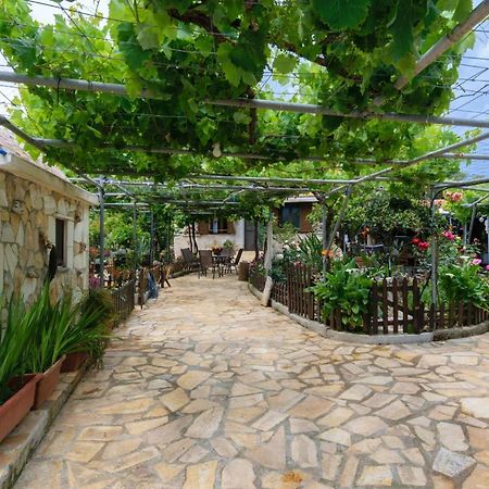 Dimitris'S Country House Agia  Zewnętrze zdjęcie