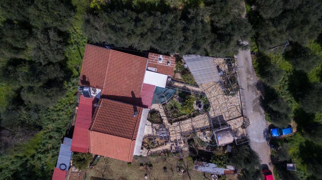 Dimitris'S Country House Agia  Zewnętrze zdjęcie
