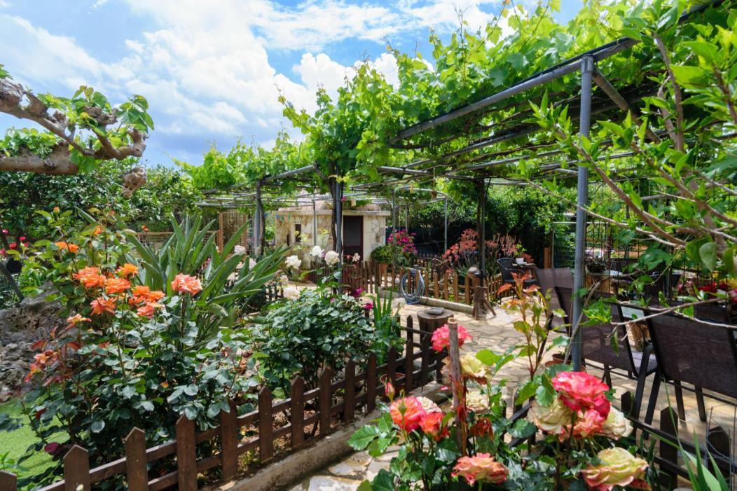 Dimitris'S Country House Agia  Zewnętrze zdjęcie
